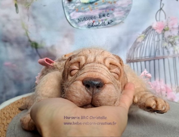 Retriever Nala BRC  (2)